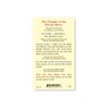 Holy Lines Laminated Divine Mercy Chaplet Prayer Card with Our