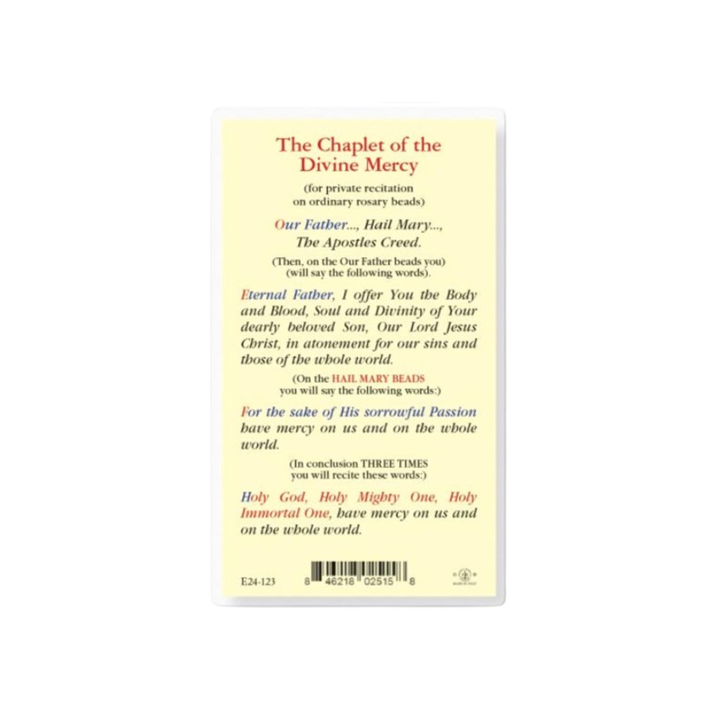 Holy Lines Laminated Divine Mercy Chaplet Prayer Card with Our