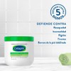 CETAPHIL Crema Hidratante 1 pz 453 g Restablece la Barrera
