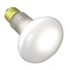 Satco S7001 Medium Light Bulb in White finish, 3.56 inches