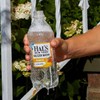 Hal's New York Seltzer Carbonated Mango Flavored Sparkling Water, Zero