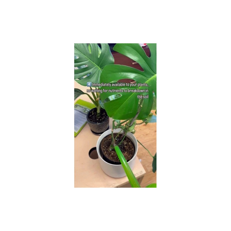 Grower's Secret Nitrogen 16-0-0 • Organic • Readily Available For