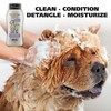 Wahl USA 4-in-1 Calming Pet Shampoo for Dogs – Cleans,