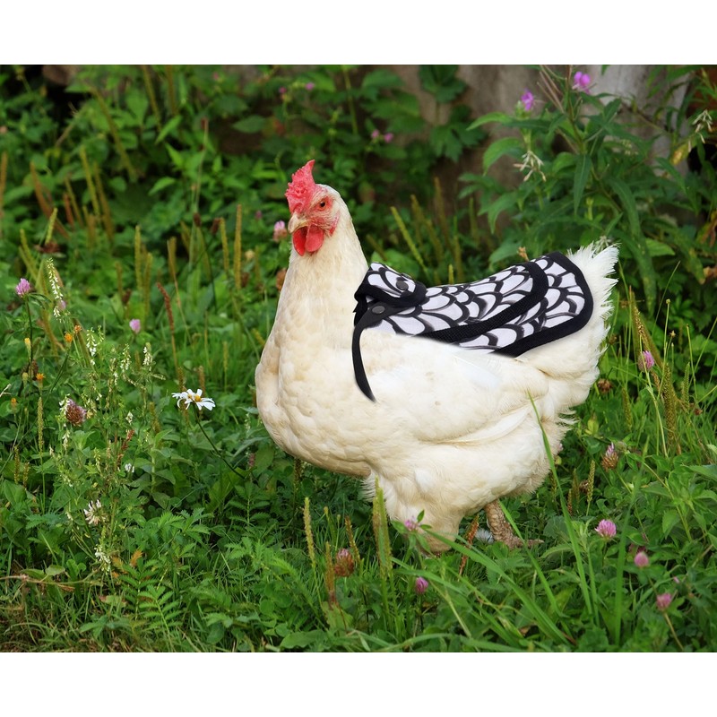 3 Pack Chicken Saddles for Hens, Chicken Saddles with Adjustable