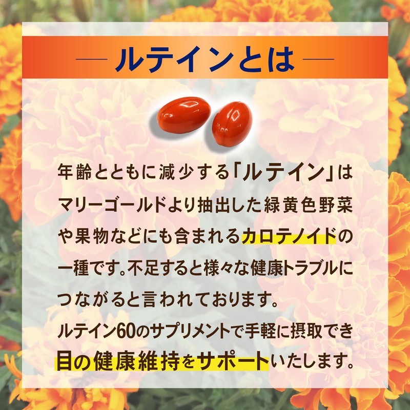 目 サプリ【長時間PC・スマホのアイケアに】ルテイン60 ＋ メグスリノ木 60粒（約30日分）ゼアキサンチン [国内生産] ワダカルシウム製薬