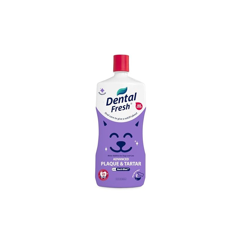 Dental Fresh Advanced Plaque and Tartar Water Additive, 32oz –