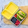 EcoCocoon Bento Lunch Boxes - 2 Compartment, Blueberry