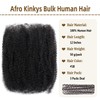 Afro Kinkys Bulk Human Hair for Dreadlock Extensions 3 Packs