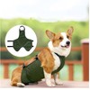 Abdominal Protection, Dog Belly Protection, Dog Belly Band, Bib for