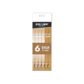 Angular Claw Carp rigs (5 in a pack) (Barbless, 6)