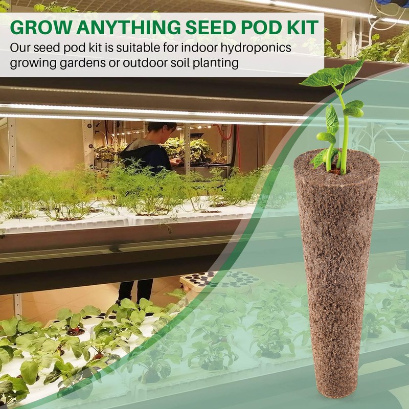 Giilayky Pack of 50 Growing Sponges, Replacement Root for Seeds,