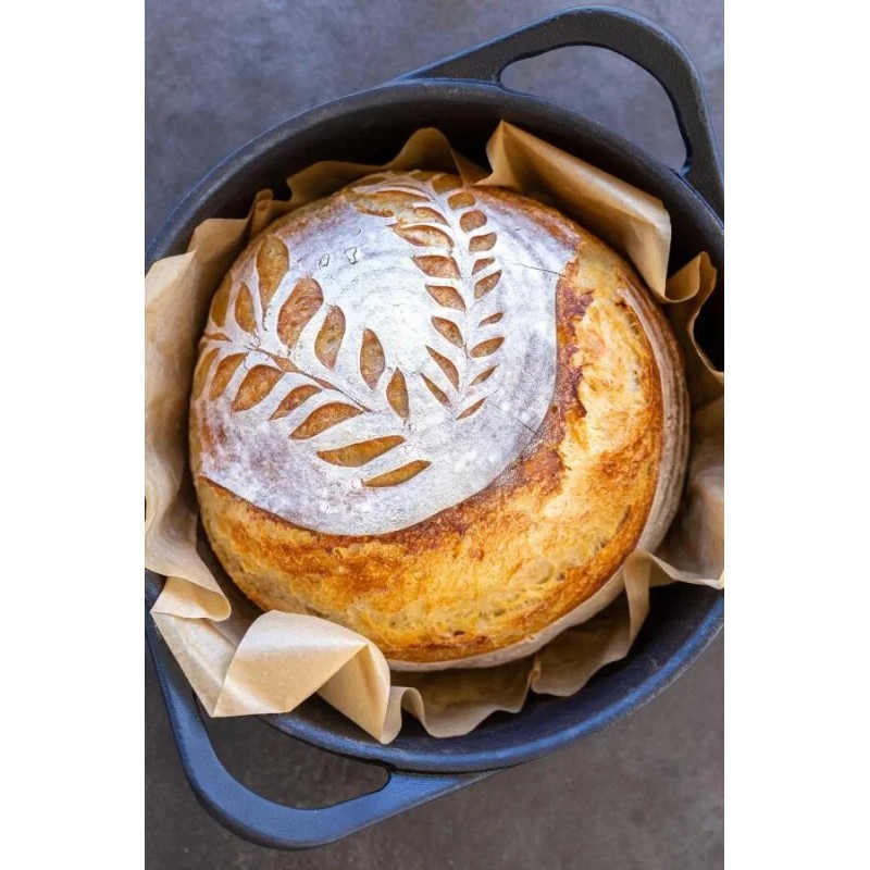 Heritage Sourdough SOURDOUGH STARTER Dehydrated Sour Active California 125+ Yrs