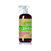 IGreen Pro All Purpose Cleaner