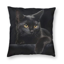 Yaateeh Cute Black Cat with Yellow Eyes Decorative Throw Pillow Covers 18x18 Inch Pillows Case Square Cushion Cover Cases Pillowcase with Zipper Sofa Home Decor for Couch Bed Patio Car