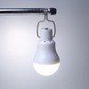 Portable Solar LED Light Bulb Rechargeable Solar Light Bulb for