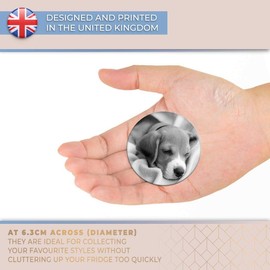 Destination Vinyl ltd Magnet for Refrigerator, Fridge BW - Cute Beagle Puppy Sleeping Dog for Office, Cabinet and Whiteboard, Magnetic Stickers, 42752