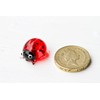 redchocol8(R Tiny Mini Glass Ladybirds Red Quality Mini Small Gloss