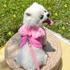 HDKUW Dog Harness with Leash Set, Dog Harness with Angel
