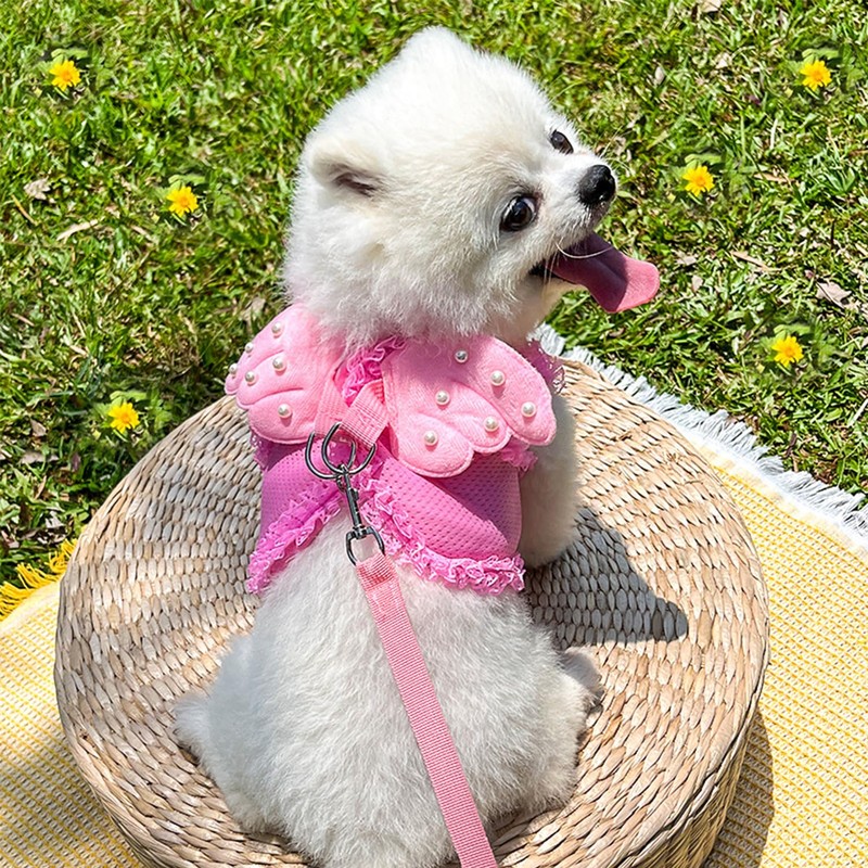 HDKUW Dog Harness with Leash Set, Dog Harness with Angel
