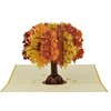 Fall Foliage Canadian Maple Tree Pop Up Greeting Card for