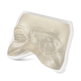 MedEduQuest Face Model for Injection Practice Kit – Transparent Face for Injection Liquid Training, Perfect for Micro Plastic Surgery, Filler Practice, Beautician Teaching, Medical Students Learning