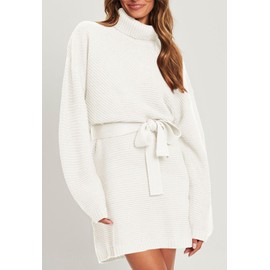 Pink Queen Women's 2024 Fashion Sweater Dresses Turtleneck Long Sleeve Oversized Loose Winter Knit Mini Dress White M