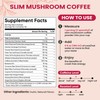Venture Pal Venture Pal Micronized Creatine Monohydrate Powder + Mushroom