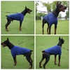 LoveLongLong Spring Summer Cooling Dog T-Shirt with UV Protection and