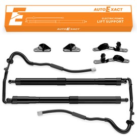 Power Liftgate Struts Compatible with 2013-2018 Toyota RAV4, Left & Right