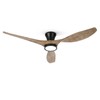 TALOYA 52 inch Ceiling Fans with Lights Remote Control, Modern