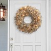 Puleo International 24" Battery-Operated Pre-Lit Tan Wreath with 35 Warm