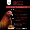 Suplemento Para Gallos De Pelea Alimento Proteína Insecto 1k