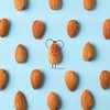 Yupik Lemon and Salt Almonds, 2.2 lb (35.2 oz), Vegan,