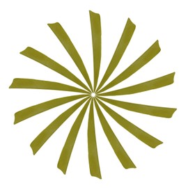 YELARXI Arrow Vanes Turkey Archery Arrows Feathers Fletching, 5 Inch Right Wing Fit for Hunting Target Shooting - Shield Cut (20Pcs, Olive Green)