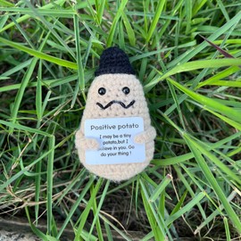 Positive Potato, Funny Gift for Women Cute Knitted Wool Inspirational Crochet Doll Plush Home Office Decor