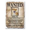 Shiba Inu Wanted Fridge Magnet No 1