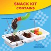 Lunchables Dirt Cake Snack Pack with Chocolate Cookie Crumbs (Chocolate