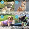 Gooby Simple Step in III Harness - Purple, Small -