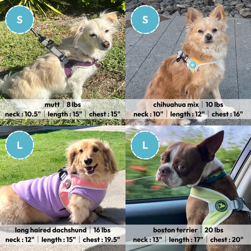 Gooby Simple Step in III Harness - Purple, Small -