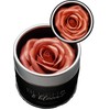 RADIANT ROSES GEM IN EYE BLUSH & BLOOM™ | EXPERIENCE