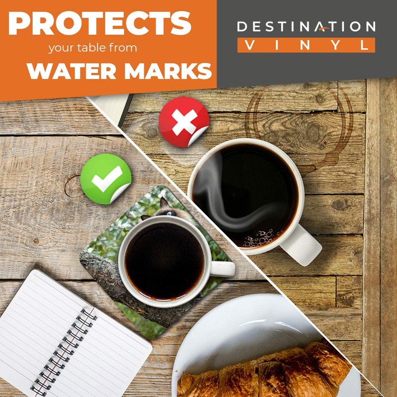 Great Coasters (Set of 2) Square/Glossy Quality Coasters/Tabletop Protection for