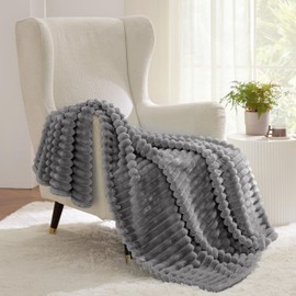Bedsure Bedsure Frost Gray Fleece Blanket for Couch - GentleSoft Cozy Soft Blankets for Women, Cute Small Throws for Girls, 60x80 Inches