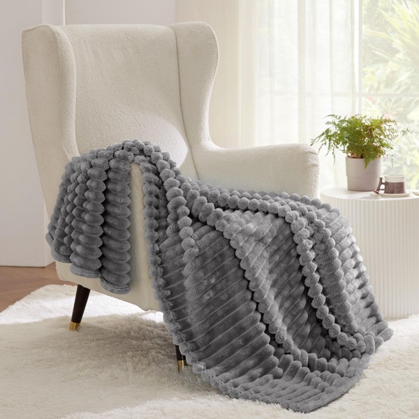 Bedsure Bedsure Frost Gray Fleece Blanket for Couch - GentleSoft