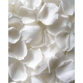 REAL Rose Petals, Pearl White Freeze-Dried Petals 1.75oz Biodegradabel Wedding Natural Confetti, Perfectly Preserved Flower Petals for Table Decorations