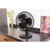 Comfort Zone Oscillating Table Fan with Adjustable Tilt, Convenient Push
