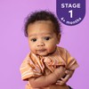 Plum Organics Stage 1 Organic Baby Food, Prune Puree, 3.5