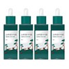 Round Lab Pine Soothing Cica Ampoule 50ml x 4 / 라운드랩 소나무 진정 시카 앰플 50ml x 4개