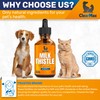 Milk Thistle for Dogs & Cats – Liver Support for