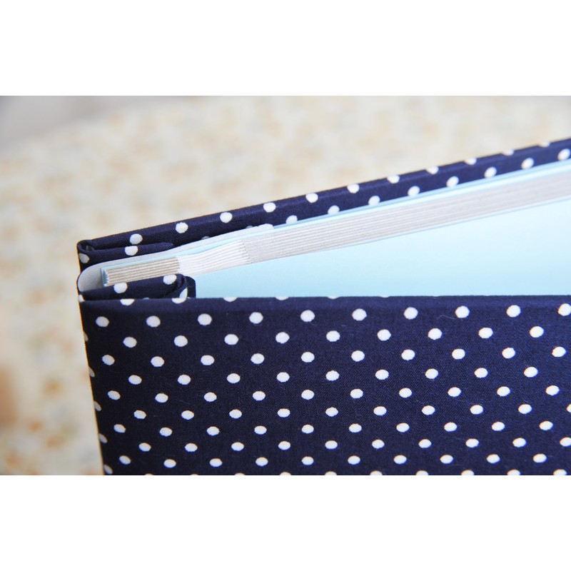 ナカバヤシ ファイル デジタルフリーアルバム Praffine A4 ブルー ア-A4P-164-B