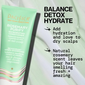 Pacifica Shampoo & Conditioner Set – Rosemary Purify Invigorating Set with Cooling Mint for Clarifying and Detoxing, Sulfate-Free, Vegan & Cruelty-Free, 12 oz & 8 oz (Set of 2)